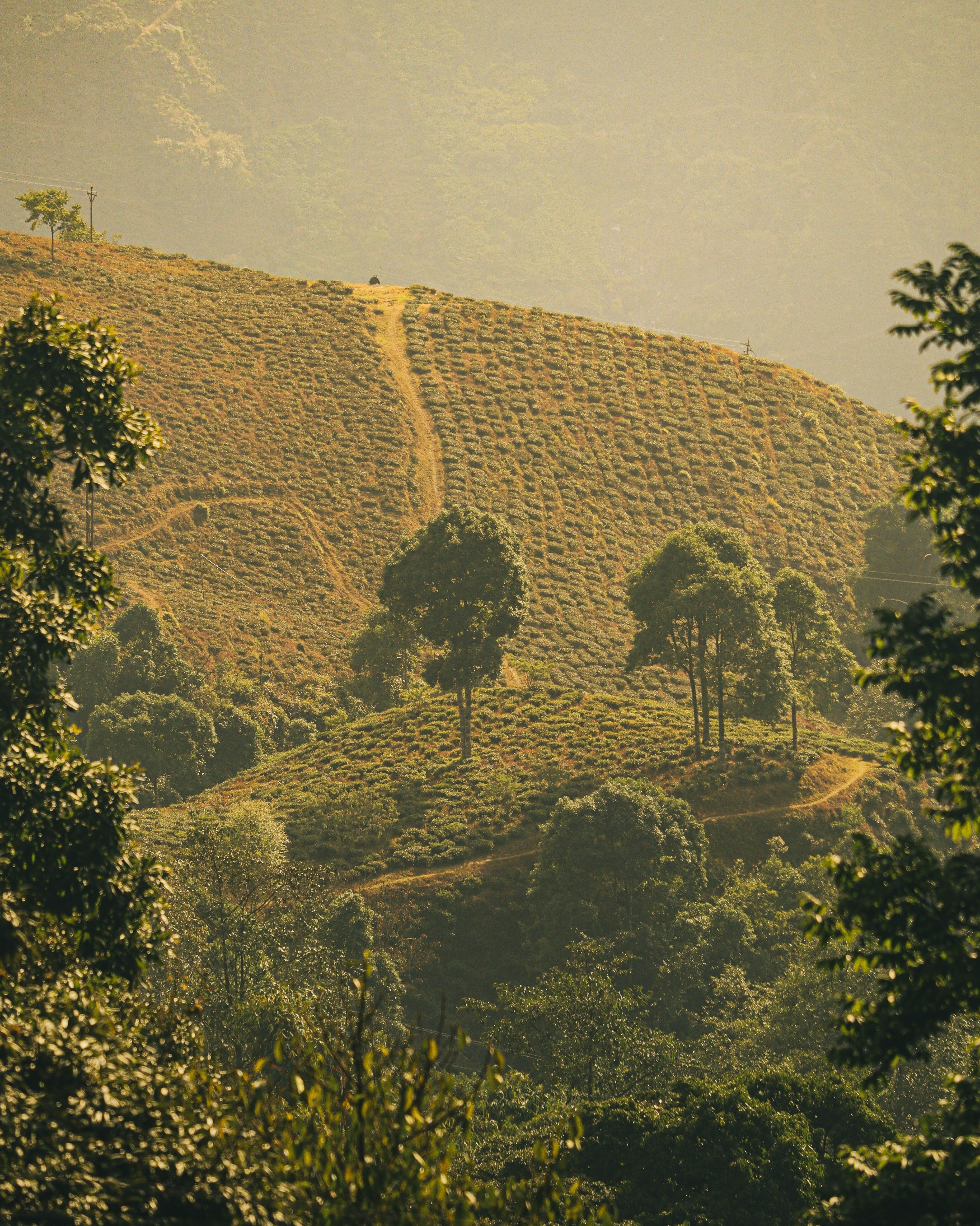 Meet Huila, Colombia
